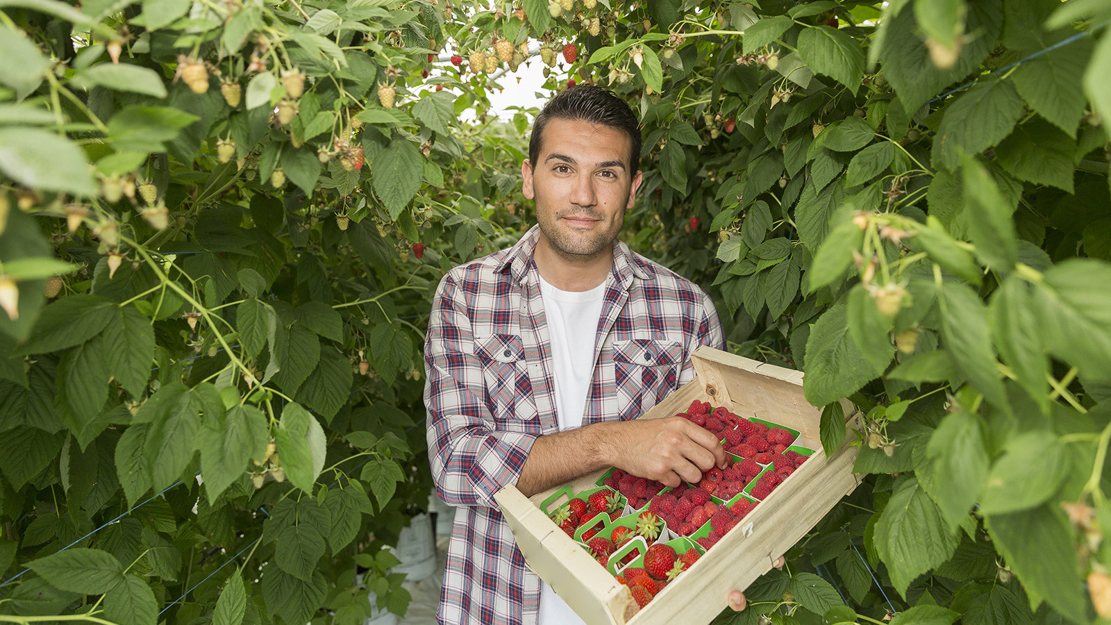 HR rules for seasonal workers – how your business can stay compliant